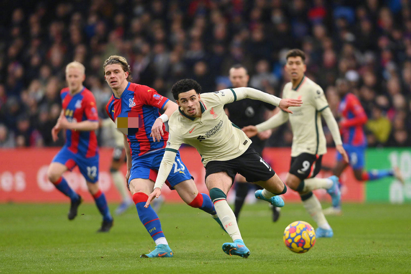 4年巴西世 4年巴西世